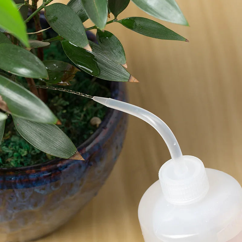 Precision Watering Can – Long Beak Squeeze Bottle for Succulents & Indoor Plants
